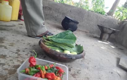 ガーナの野菜