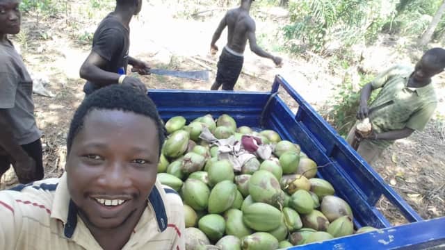 ガーナ農業