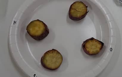 4種類の焼き芋