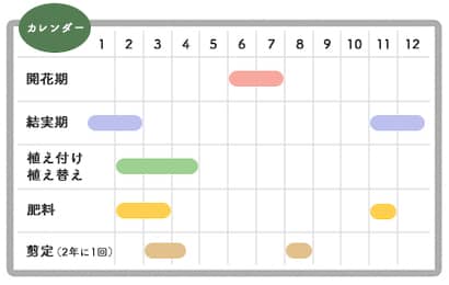 鉢植えのナンテンの栽培カレンダー