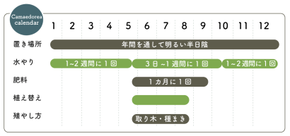 チャメドレア栽培カレンダー