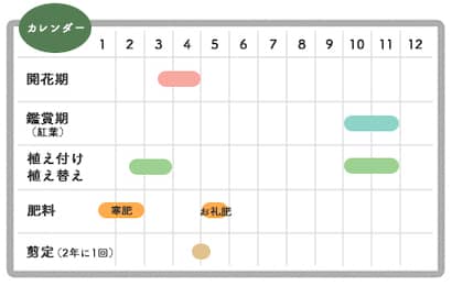 ユキヤナギ栽培カレンダー