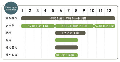 ディフェンバキア栽培カレンダー