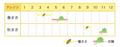 クレソンのプランター栽培カレンダー