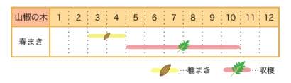 山椒の木の栽培カレンダー