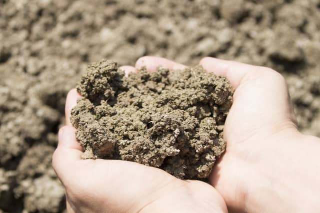 畑の土壌改良の方法とおすすめ土壌改良材 Ph調整や粘土質の改良など農学博士が解説 農業 ガーデニング 園芸 家庭菜園マガジン Agri Pick