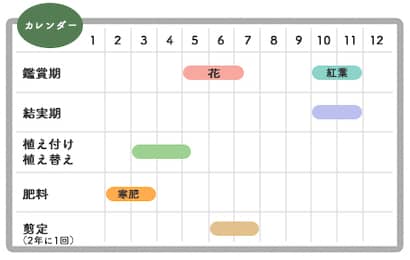 ソヨゴ栽培カレンダー