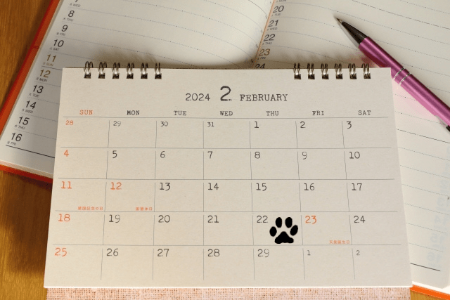 猫の日をマークした２月のカレンダー