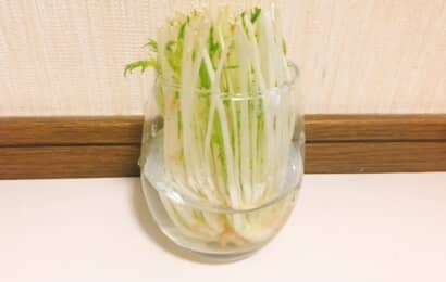 水菜のリボベジに挑戦したグラス