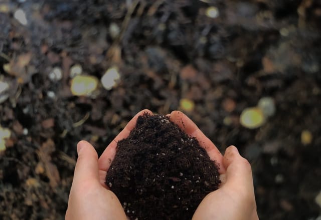 落葉１００％　完熟腐葉土４０Ｌ×２袋セット