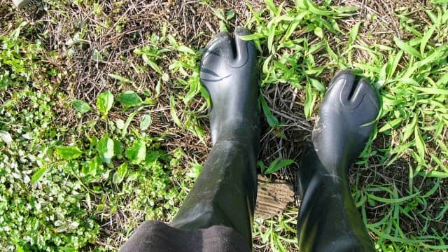 農作業用長靴のおすすめブランド