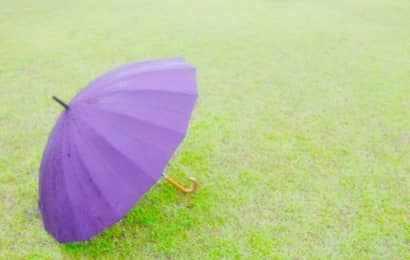 芝生の上に置かれた傘