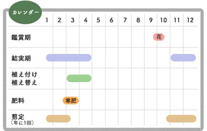 キンモクセイ栽培カレンダー