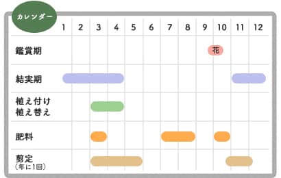 鉢植えキンモクセイの栽培カレンダー