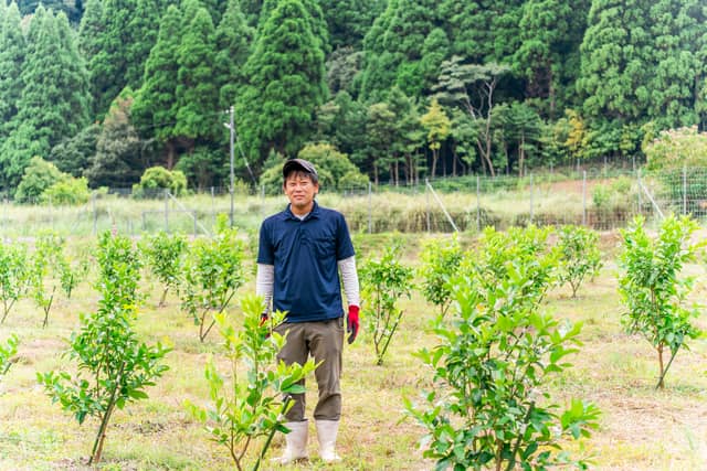 大分県が企業の農業参入を強力に支援｜新天地でレモン栽培をスタートさせた南信州菓子工房の挑戦