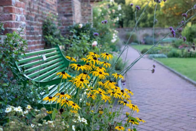 庭園のベンチと花