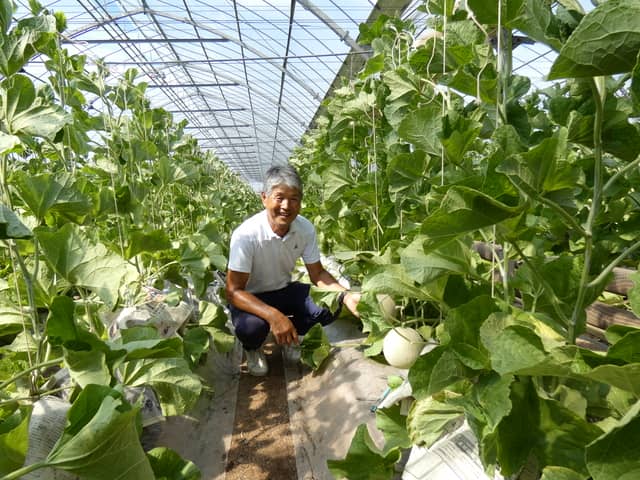 施設栽培の強い味方！ベテランメロン農家も愛用する「快適空乾（TM）」はハウス内の水滴のボタ落ちを防ぎ適度な湿度をキープ