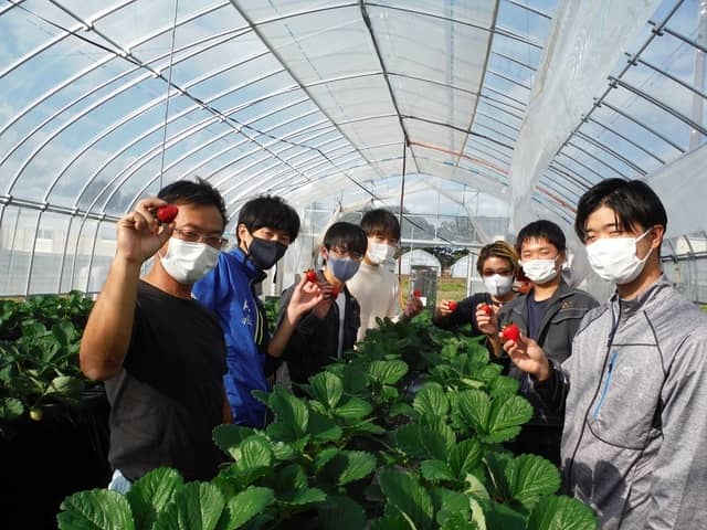 栃木県農業大学校いちご科集合写真