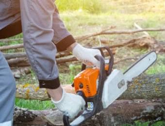 チェーンソーで木を切る男性