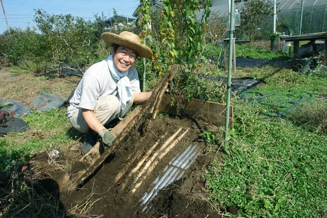 波板栽培でヤマイモを収穫する福田さん